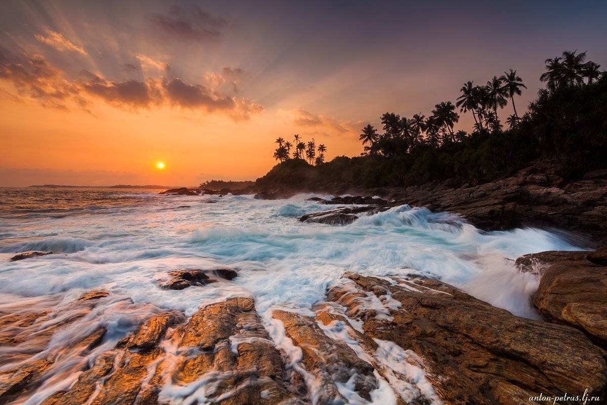 шри-ланка, Антон Петрусь