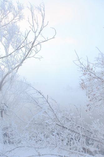 Горячка