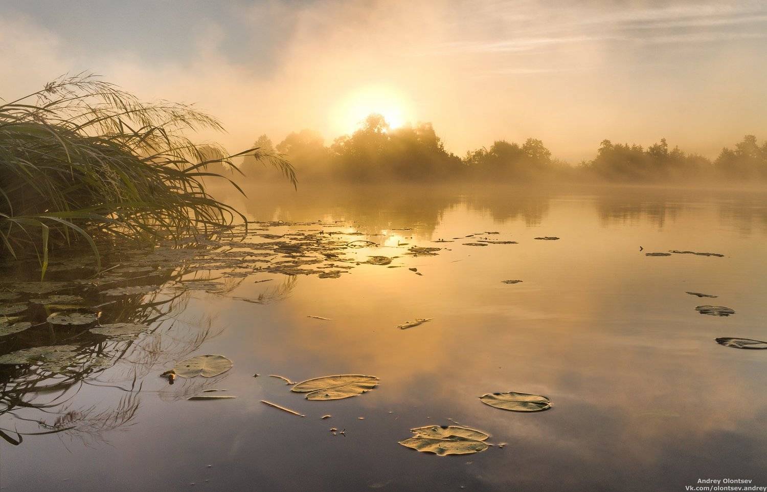 дубна, пейзаж, лето, рассвет, туман, canon, Андрей Олонцев