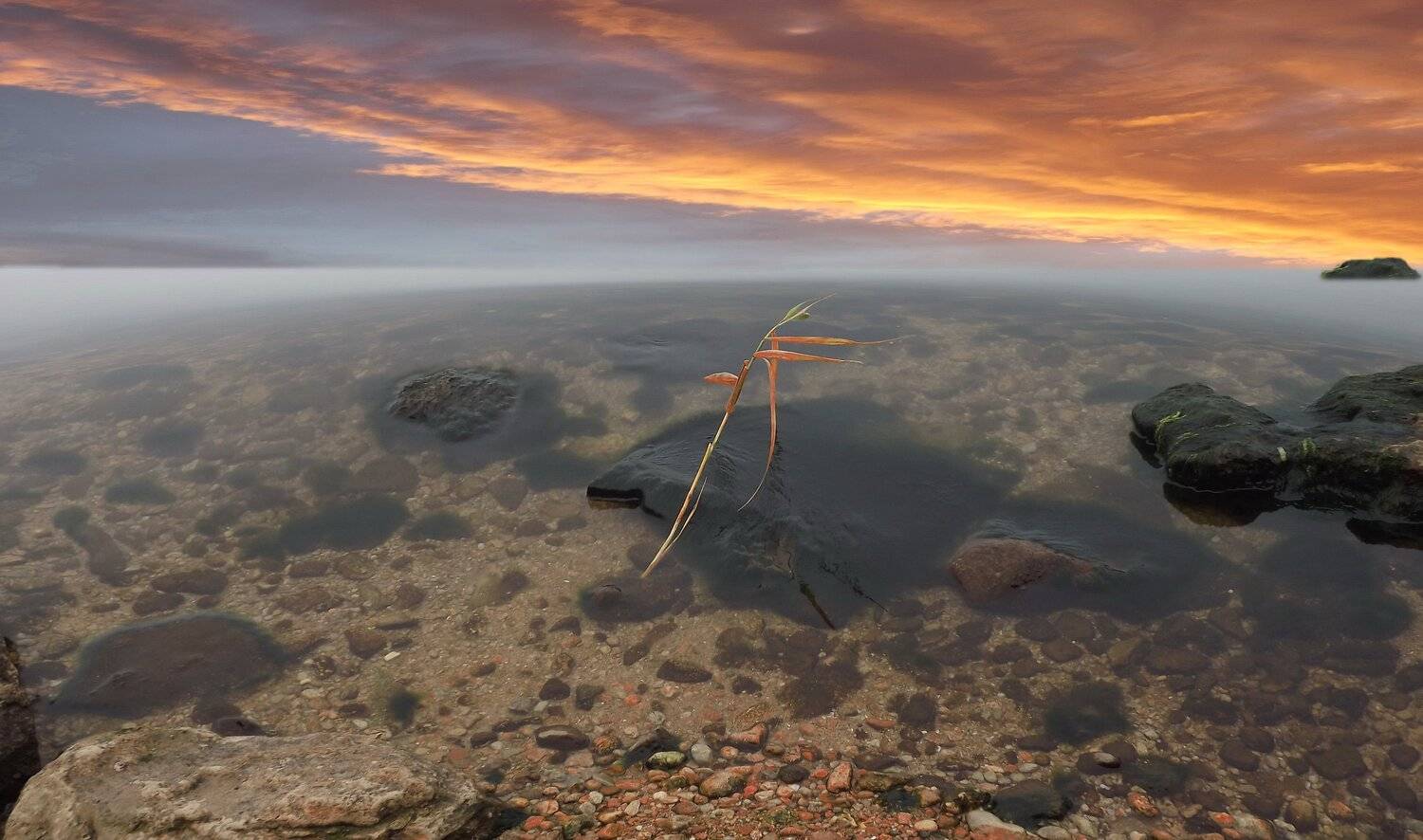 одесса, Сергей Кошелев