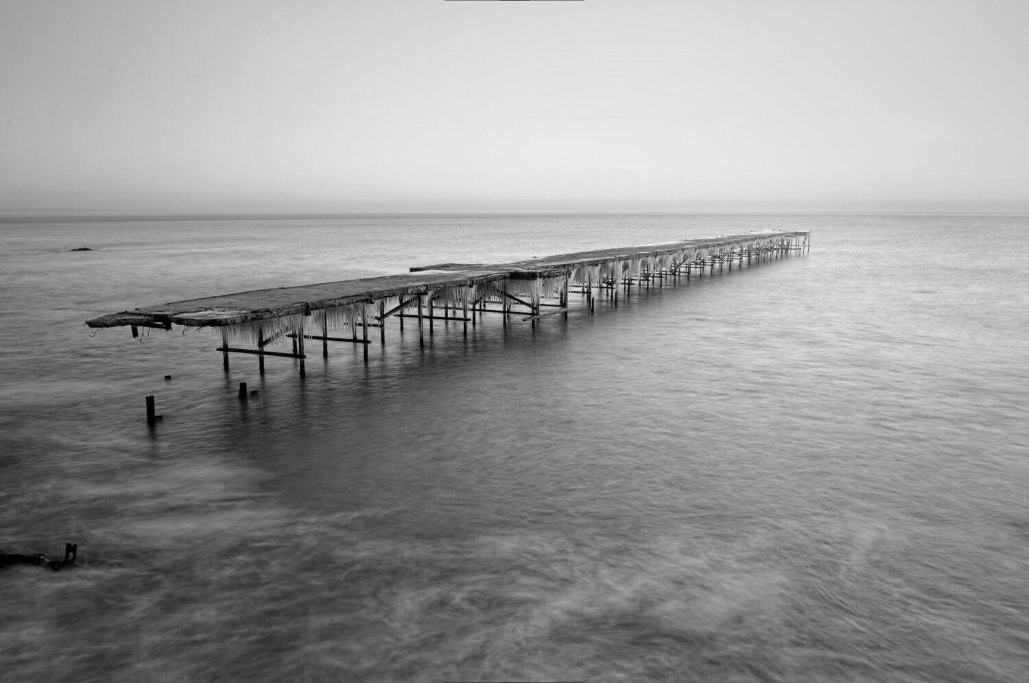 , Мартин Костадинов