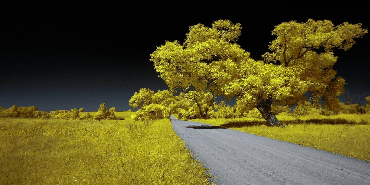 infrared,ик-фото,инфракрасное фото,инфракрасная фотография,пейзаж,природа,беларусь,лето, Sixten ( Сергей )