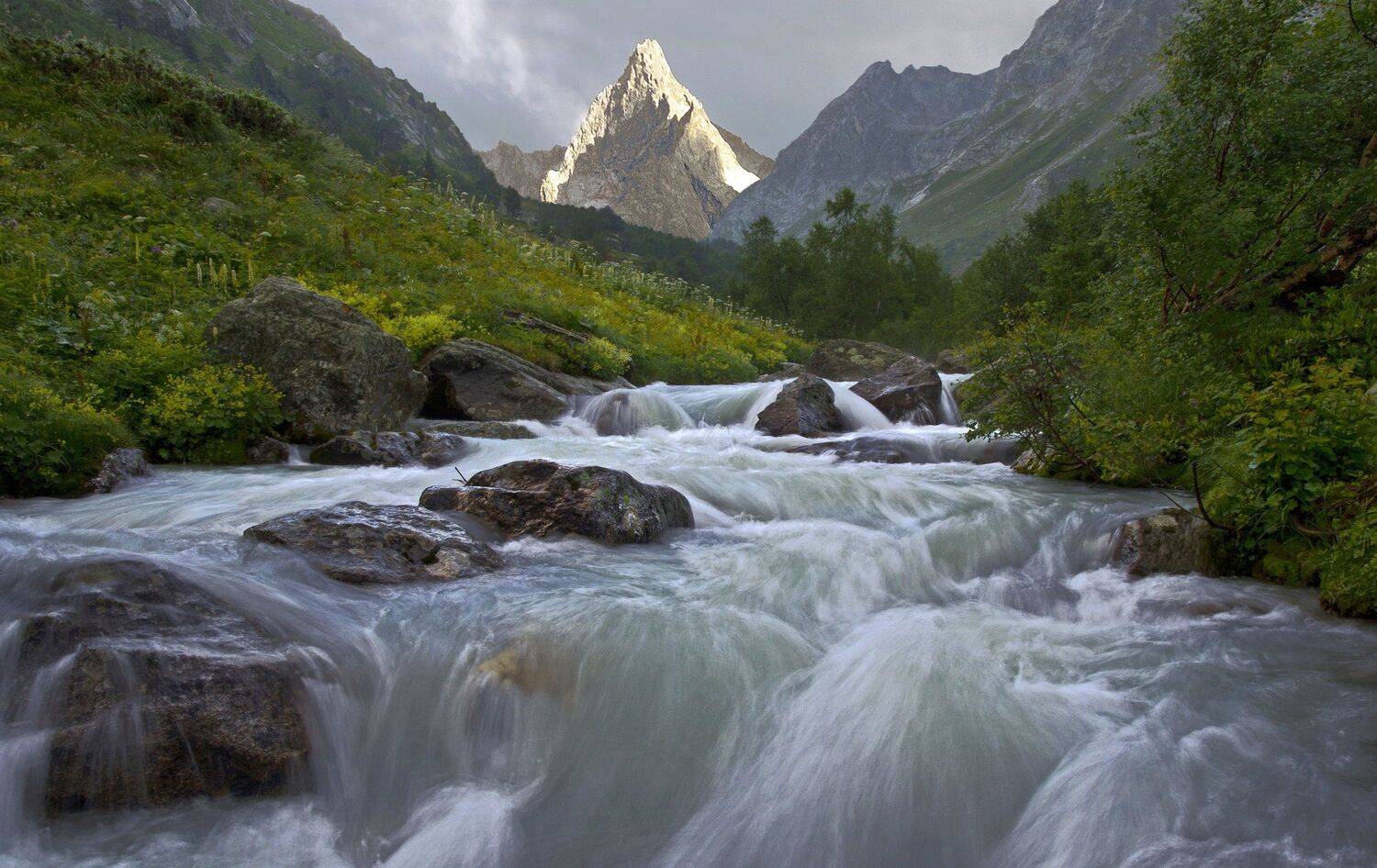 , Милокост Алексей