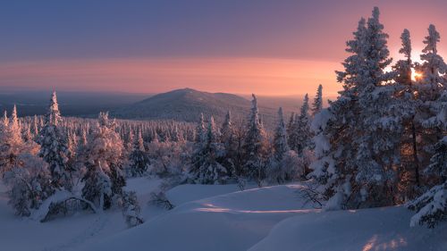 Таежная сказка