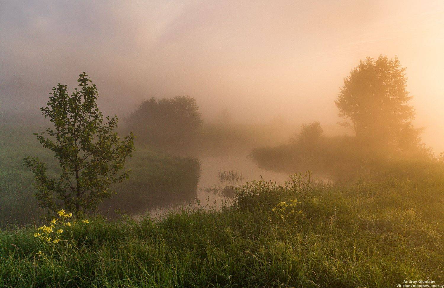 дубна, пейзаж, лето, рассвет, туман, canon, Андрей Олонцев
