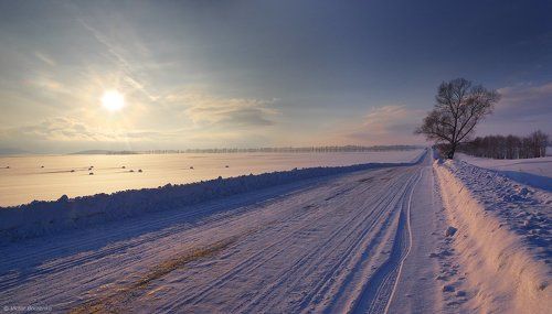 Зима в предгорьях Алтая