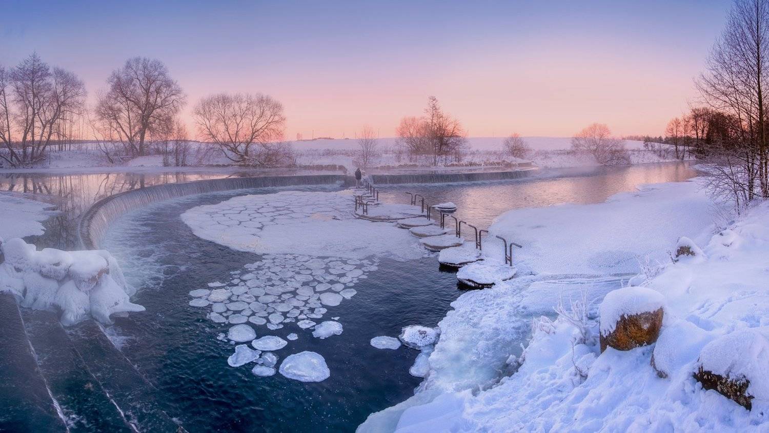 беларусь, вечер, дрозды, зима, парк, Ольга Максимова