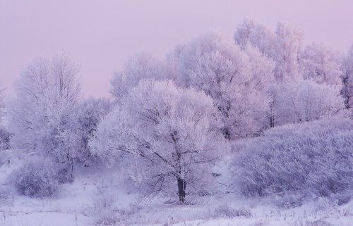 Розовый вечер на Волге