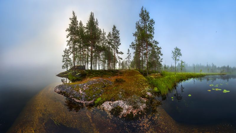 Сосны на скальном мысу фото превью