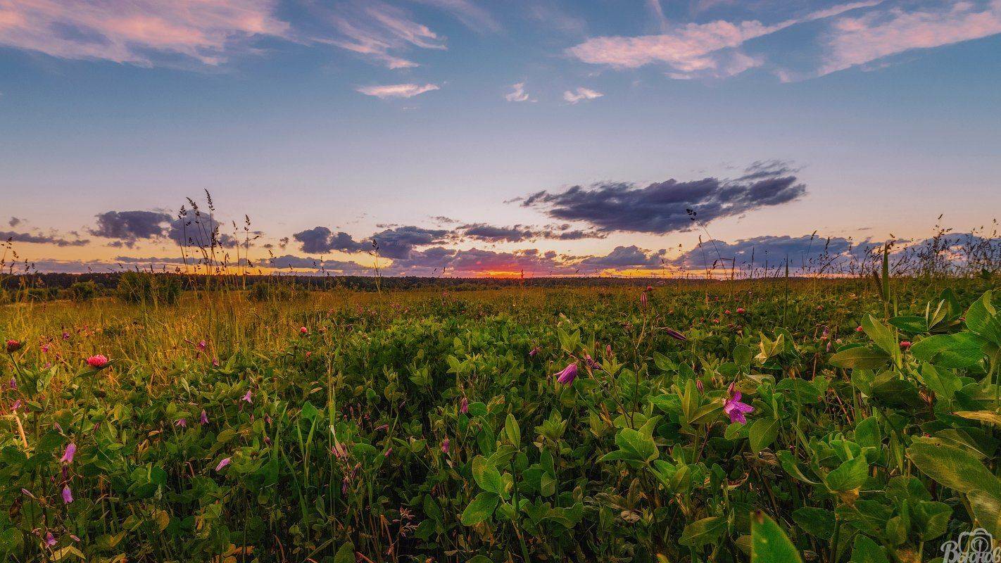 жостово,подмосковье,московская область,закат,поле,, Сергей Вьюнов