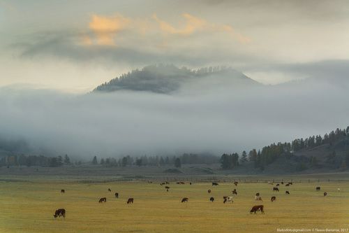 Умиротворение