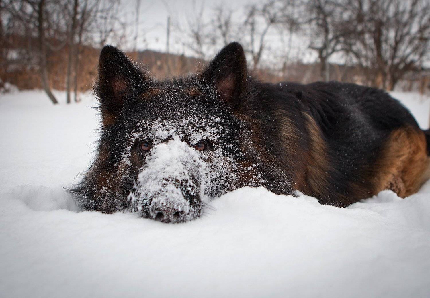 , Андрей Канышев