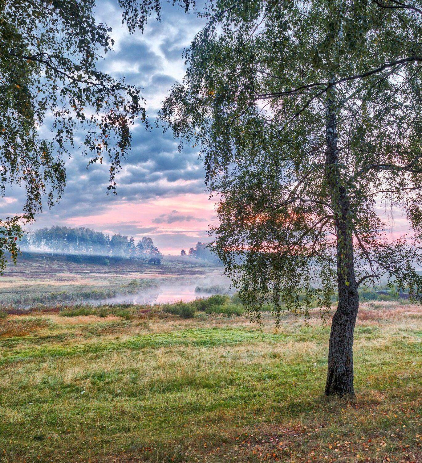 , Николай Андреев