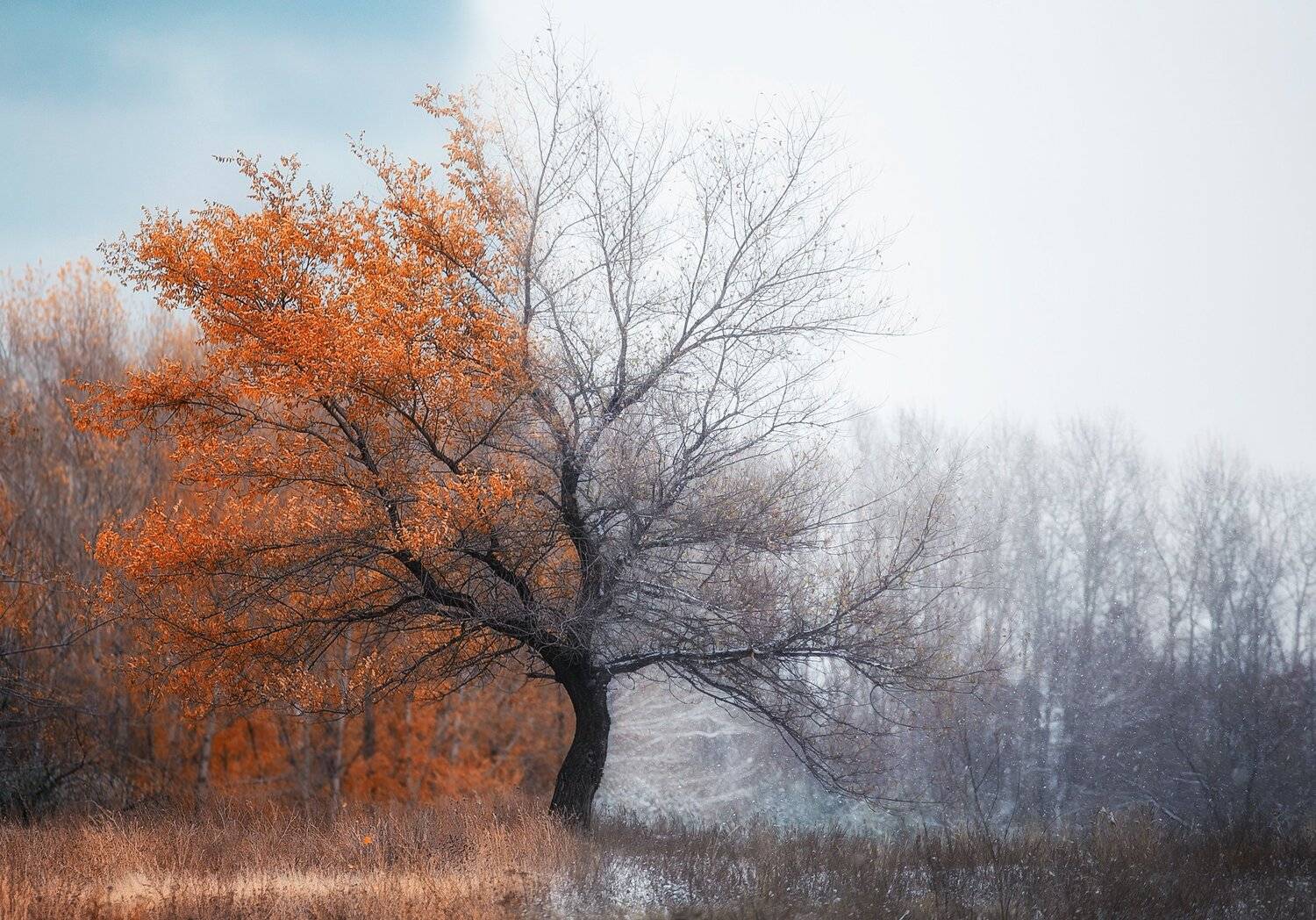 , Павел Сагайдак
