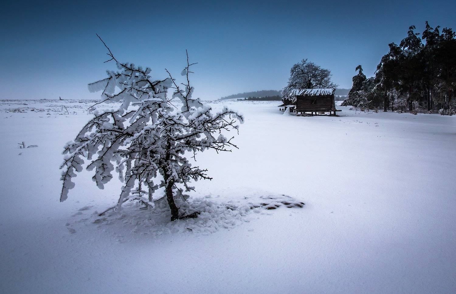 , Станислав Савицкий
