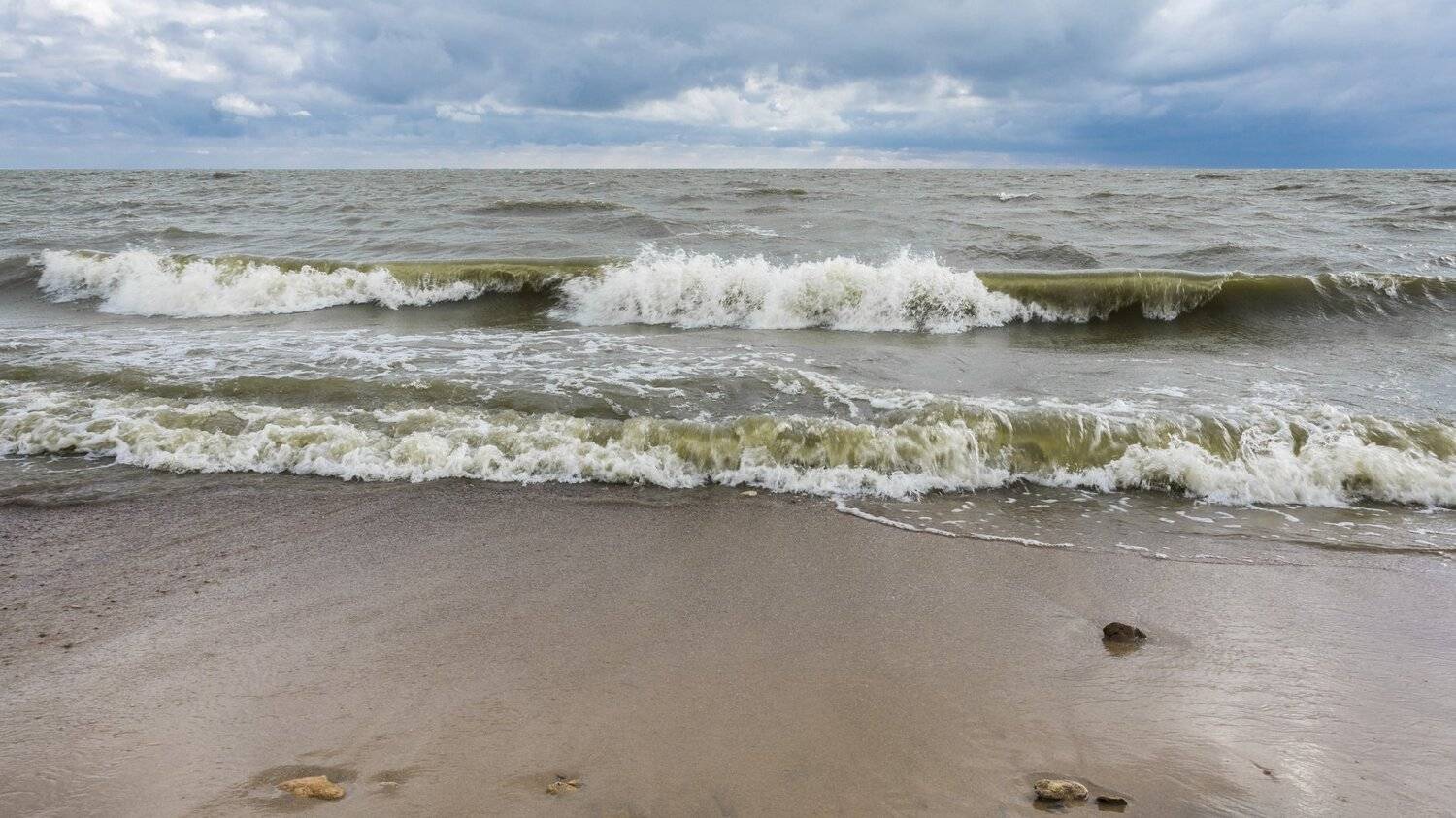 , Юрий Пужалин