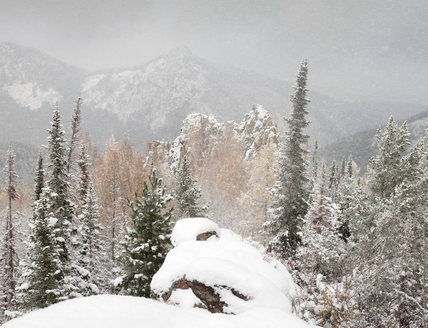 , Лещёнок Александр