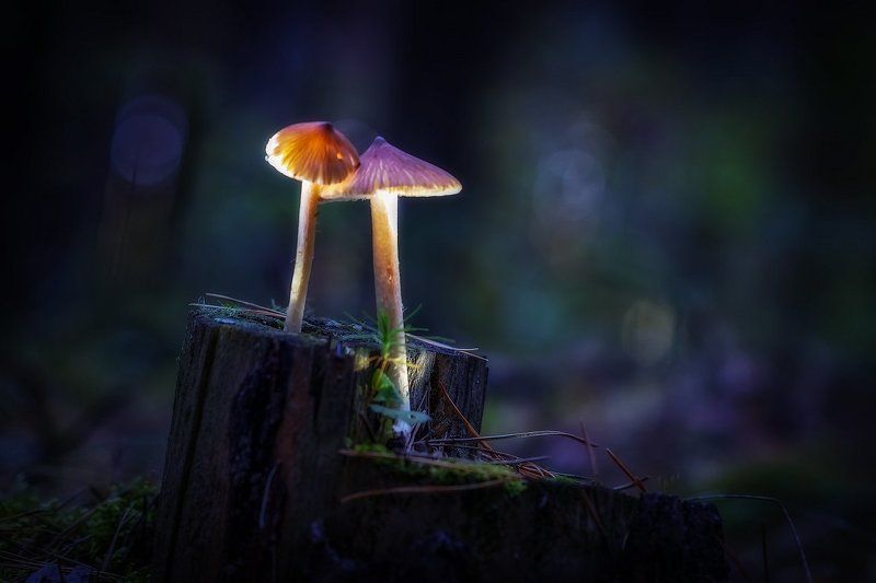 Вся душа моя пылает, вся душа моя горит ... фото превью