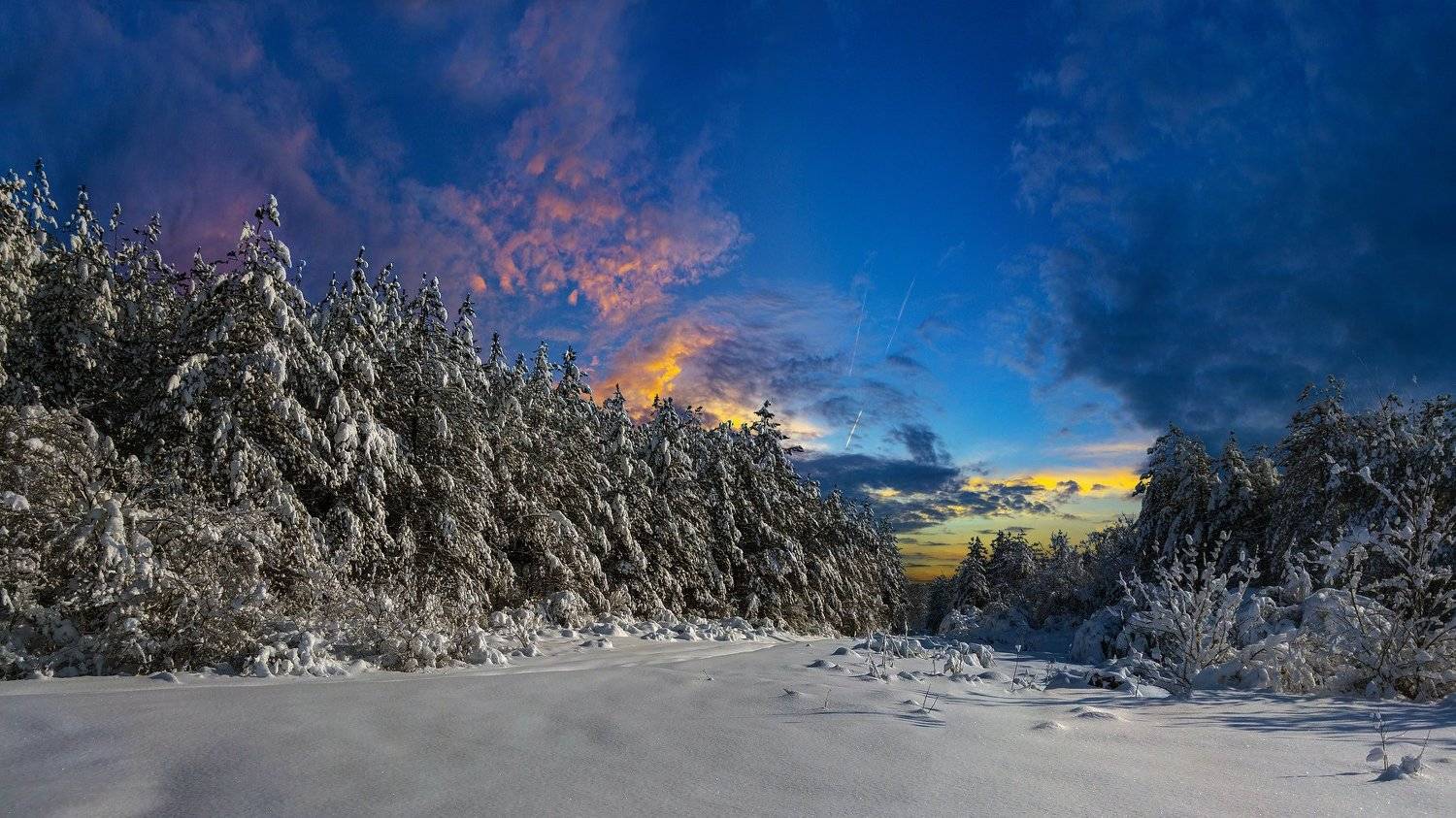 ceclii, lgg4, Tsvetan Ganev