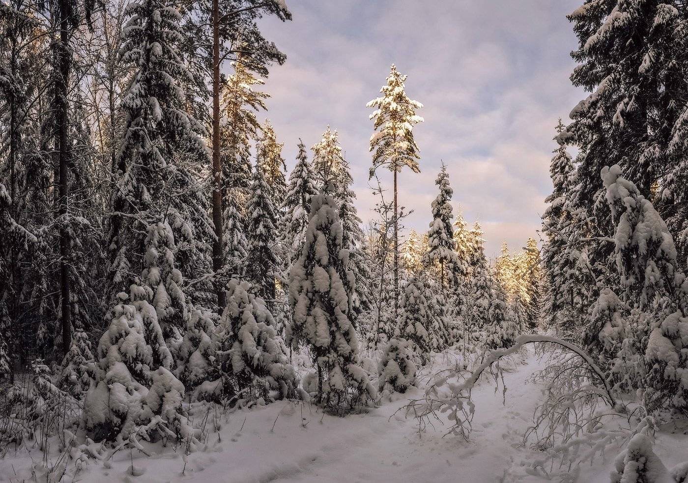 , Борис Пирог