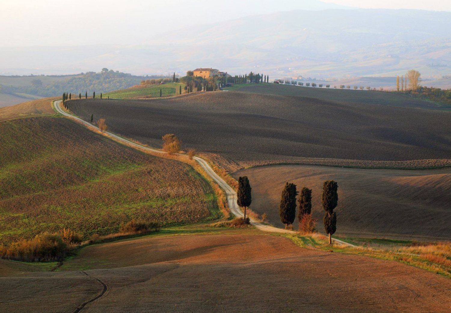 италия, тоскана, поля, осень, Михаил