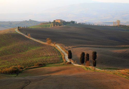 Поля Тосканы