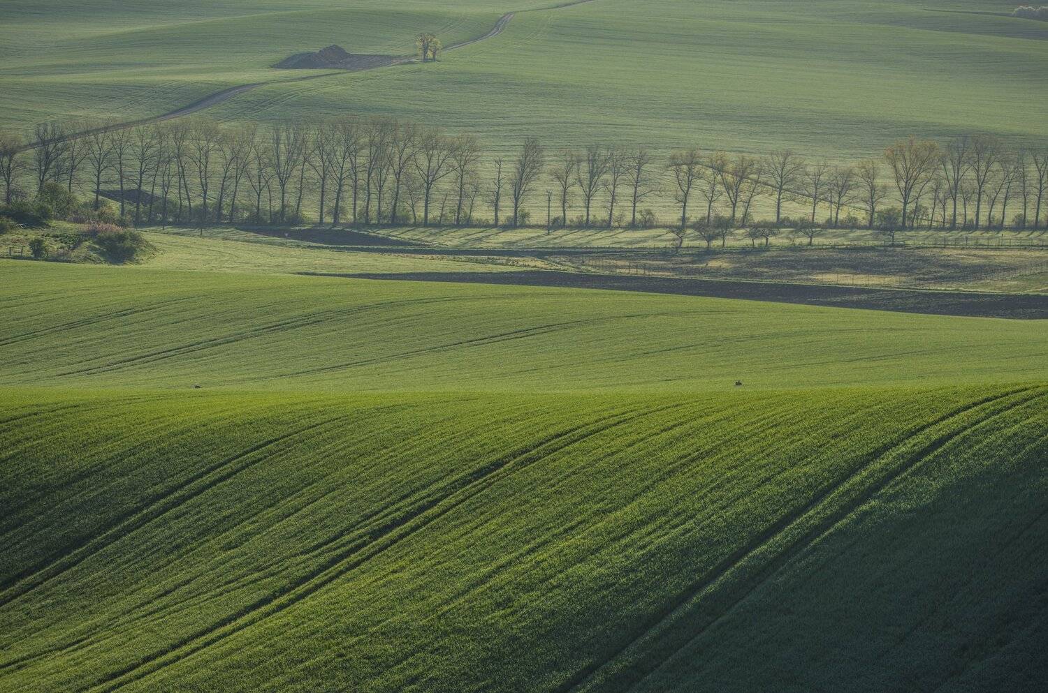 южная моравия, Ирина