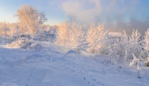 Солнечное утро. город Дубна, берег Волги.