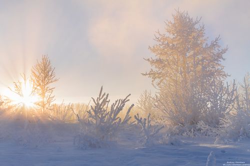 Рождественское утро.