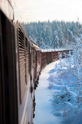 train