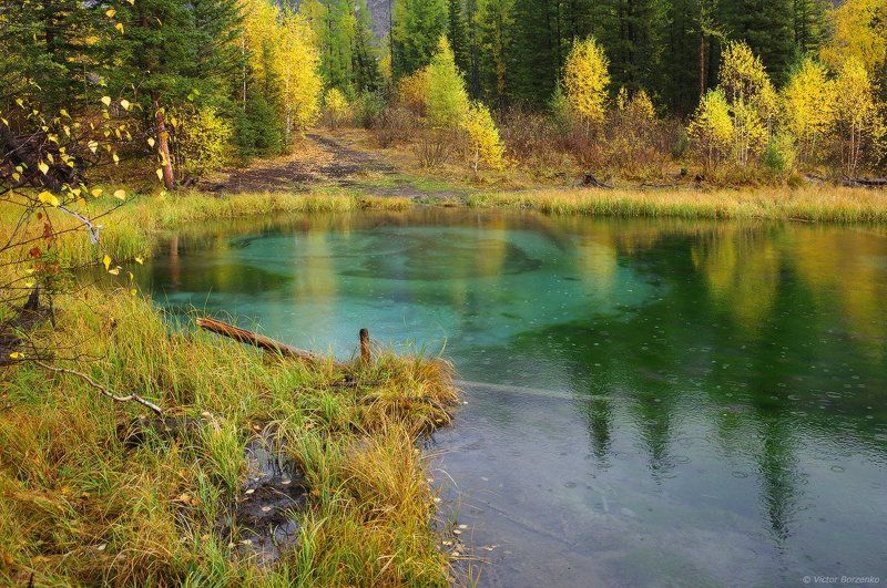 Алтай, Гейзерное озеро, Дождь, Малахитовое озеро, Осень Осенний дождь фото превью