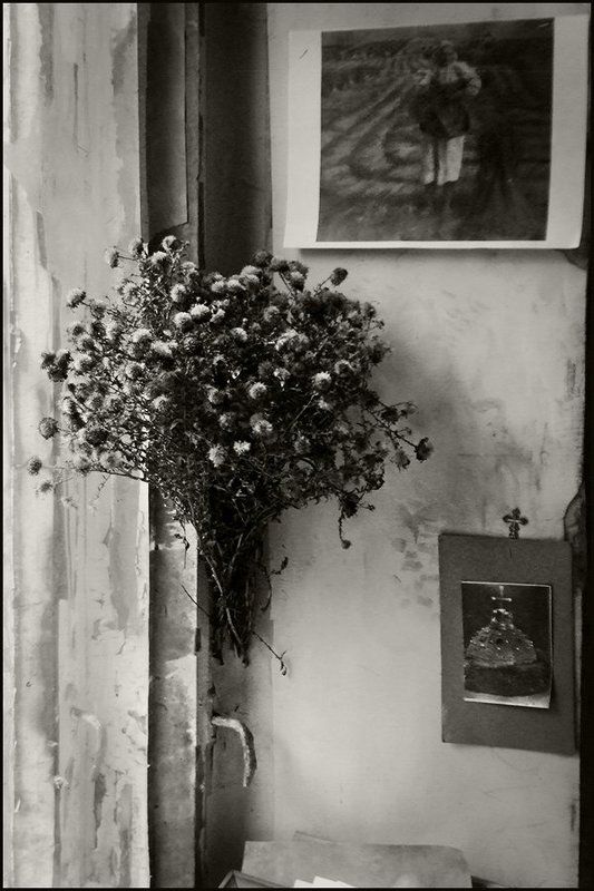 Про старый букет на окне фото превью