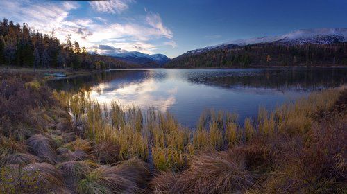 В рассветный час