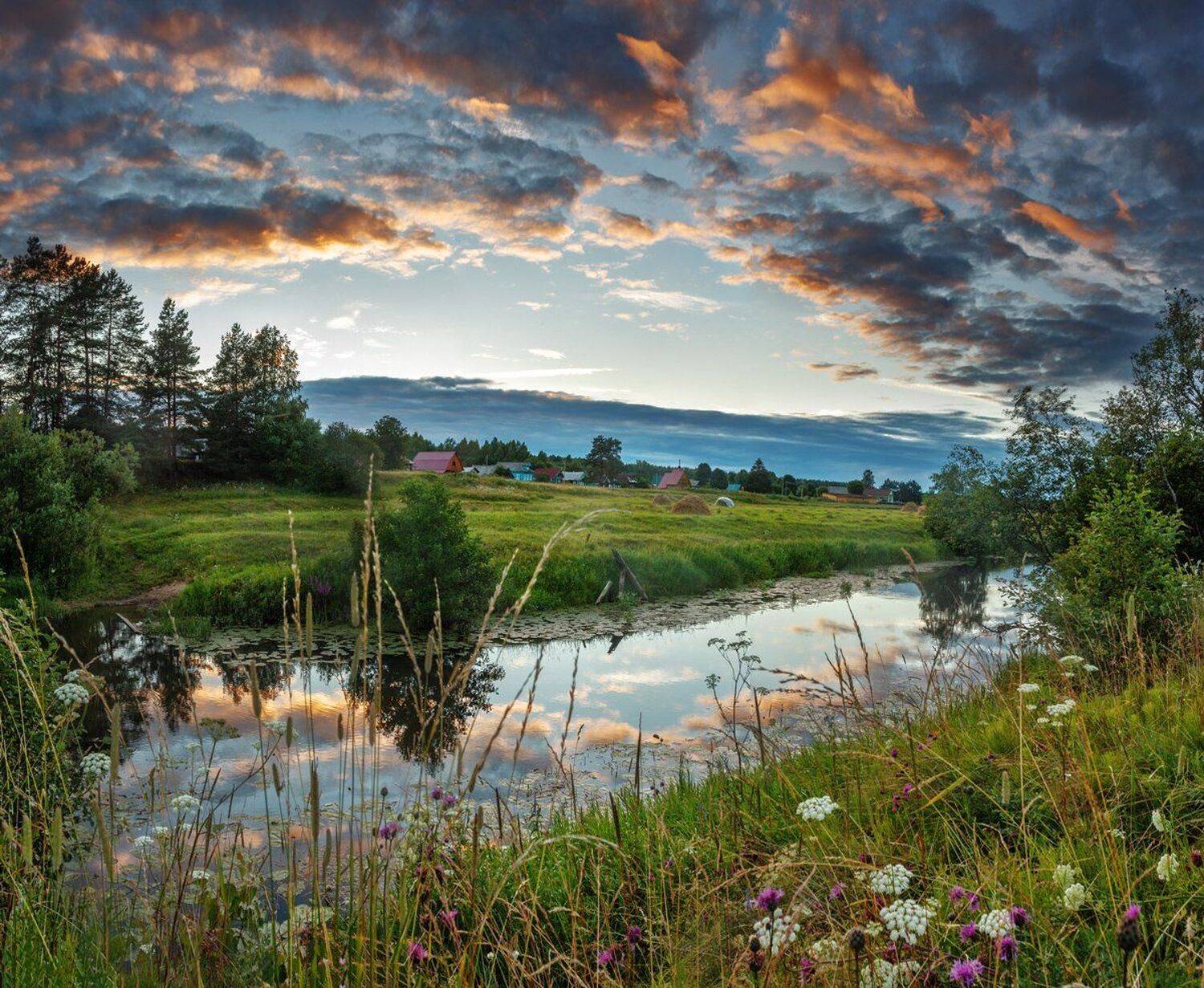 , Николай Андреев