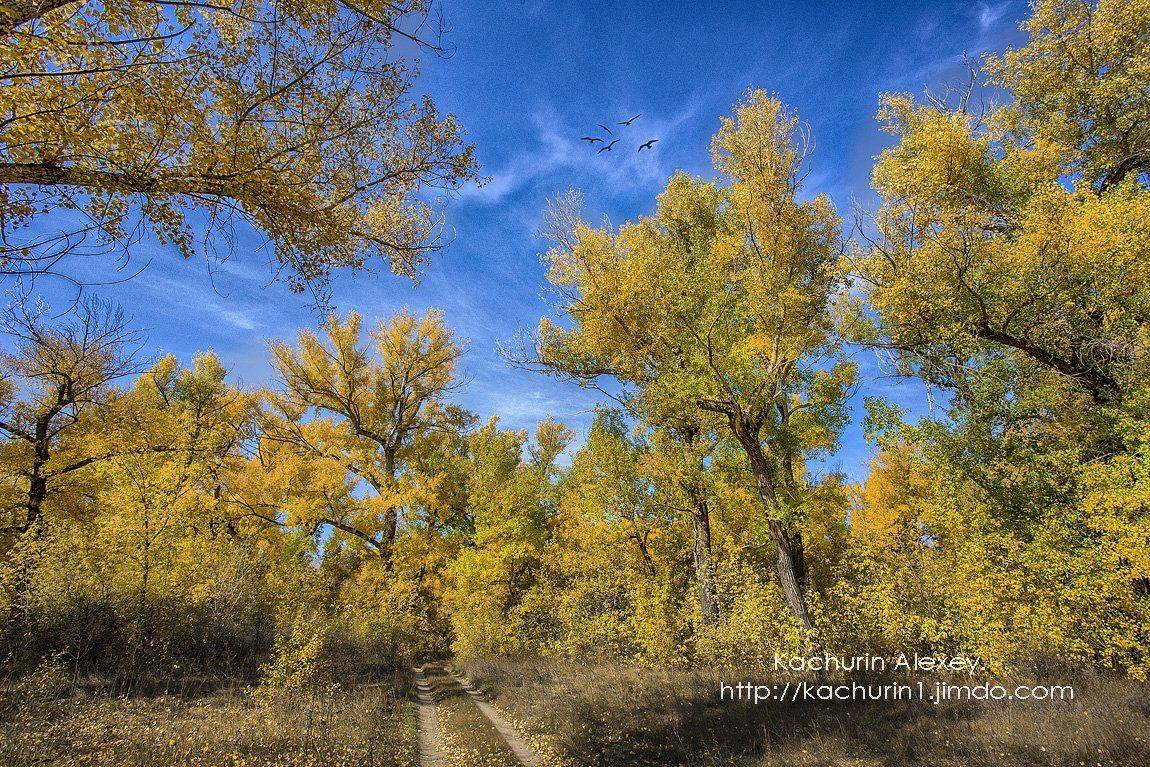 орск, качурин, осень урал, Качурин Алексей