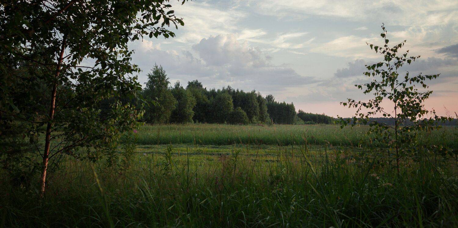 Тверь, Тверская область, Торопов Роман