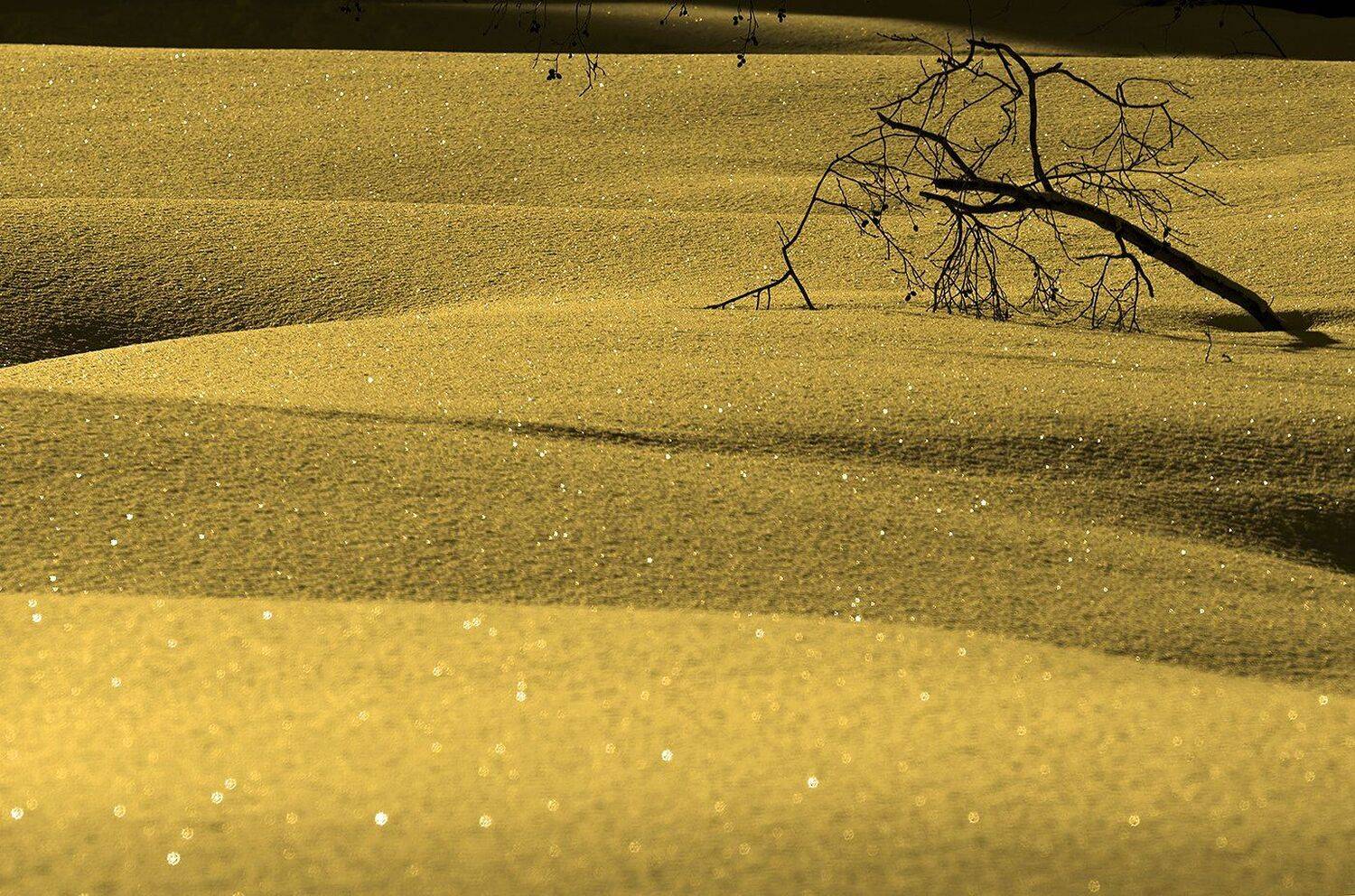 карелия, Виктор