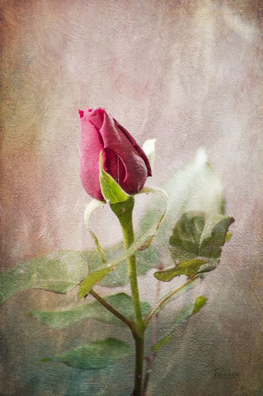 Страсть  фото превью