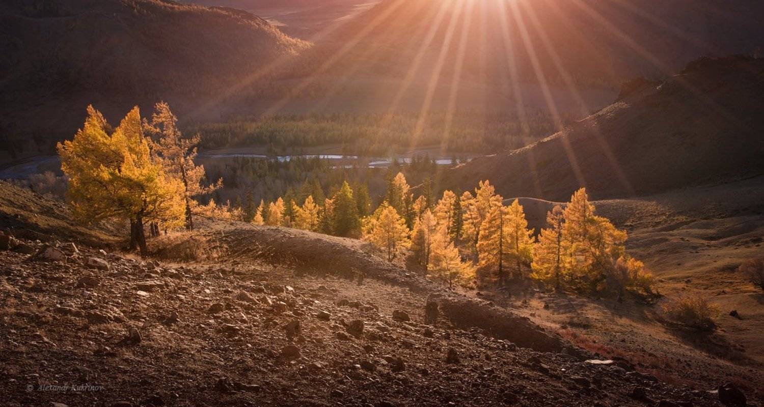 алтай, осень, пейзаж, Александр Кукринов