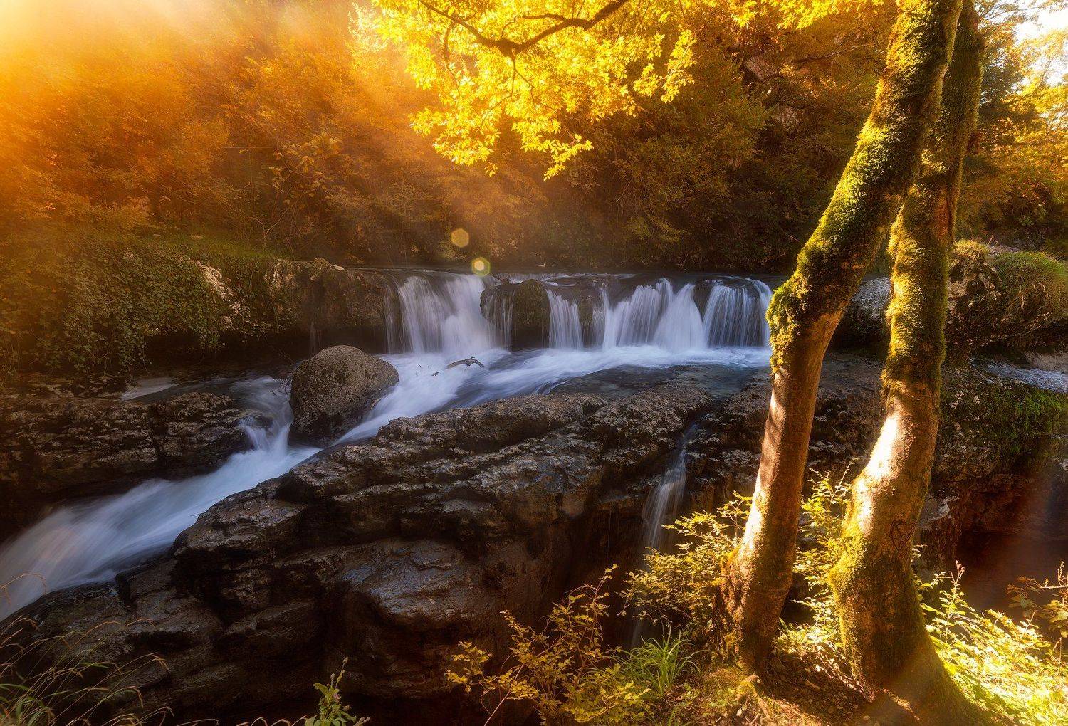 , Сергей Сутковой