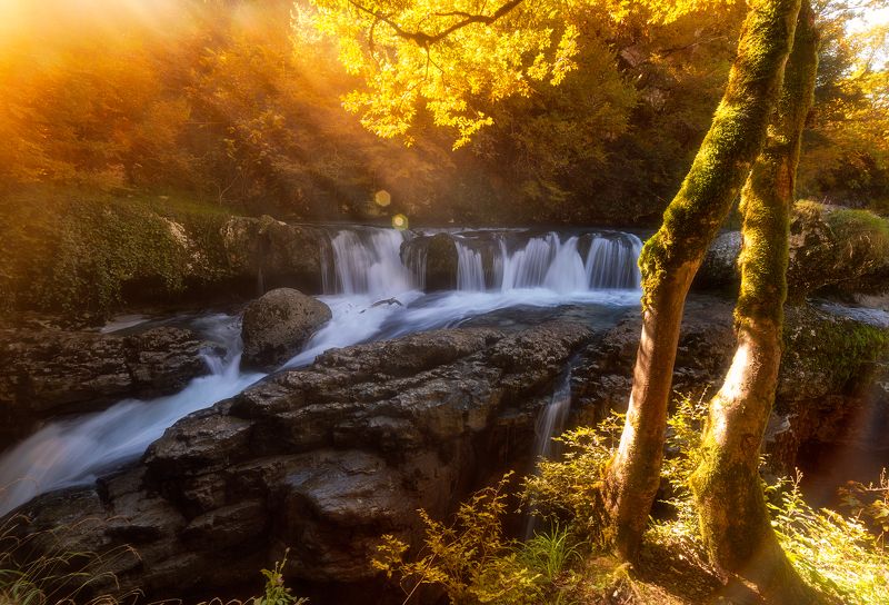 Мартвильский каньон фото превью