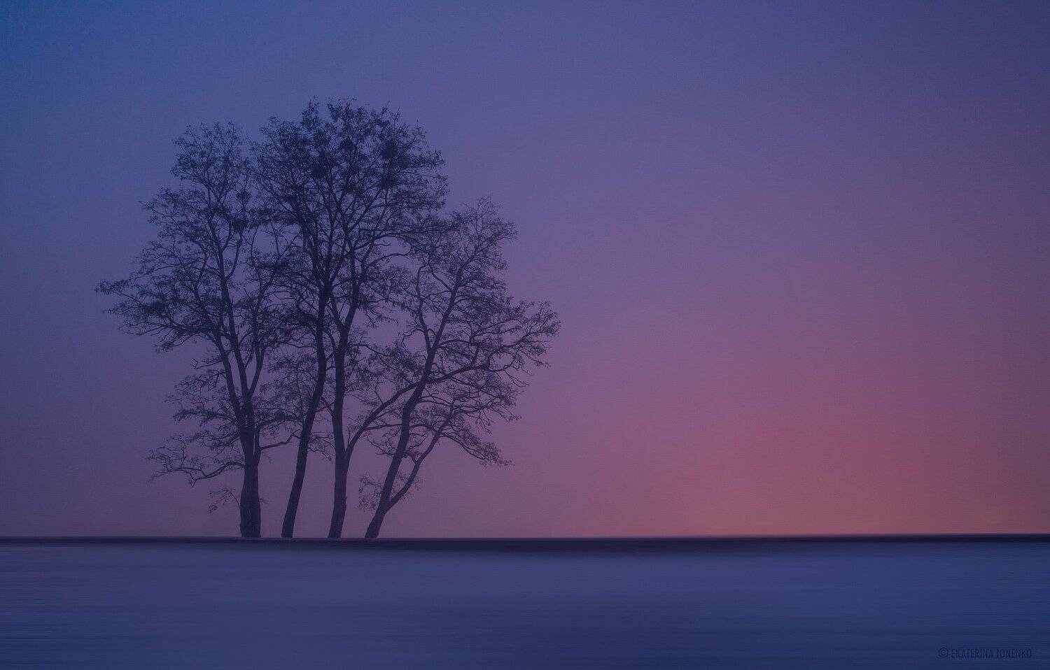 Фотоэксперимент с туманом.... Автор: Екатерина Ионенко , Екатерина Ионенко