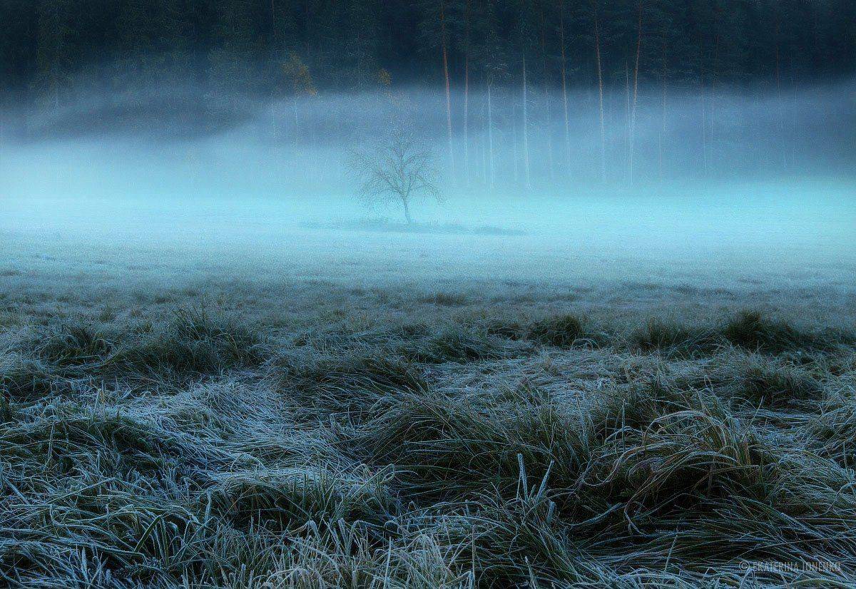 , Екатерина Ионенко