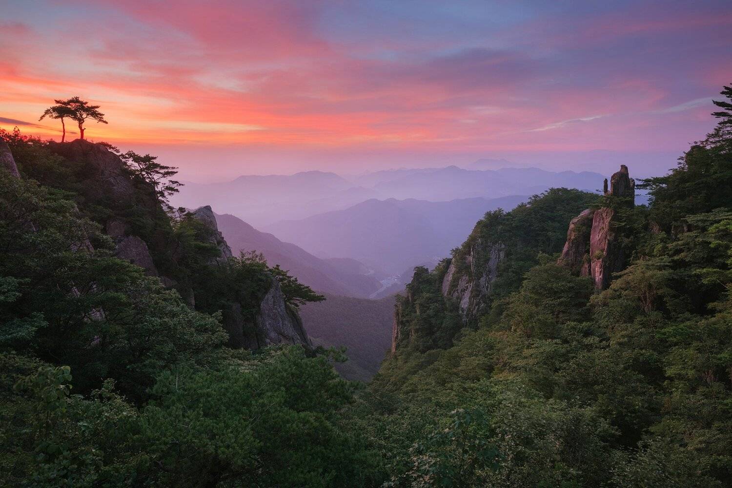 Korea, Nathaniel Merz