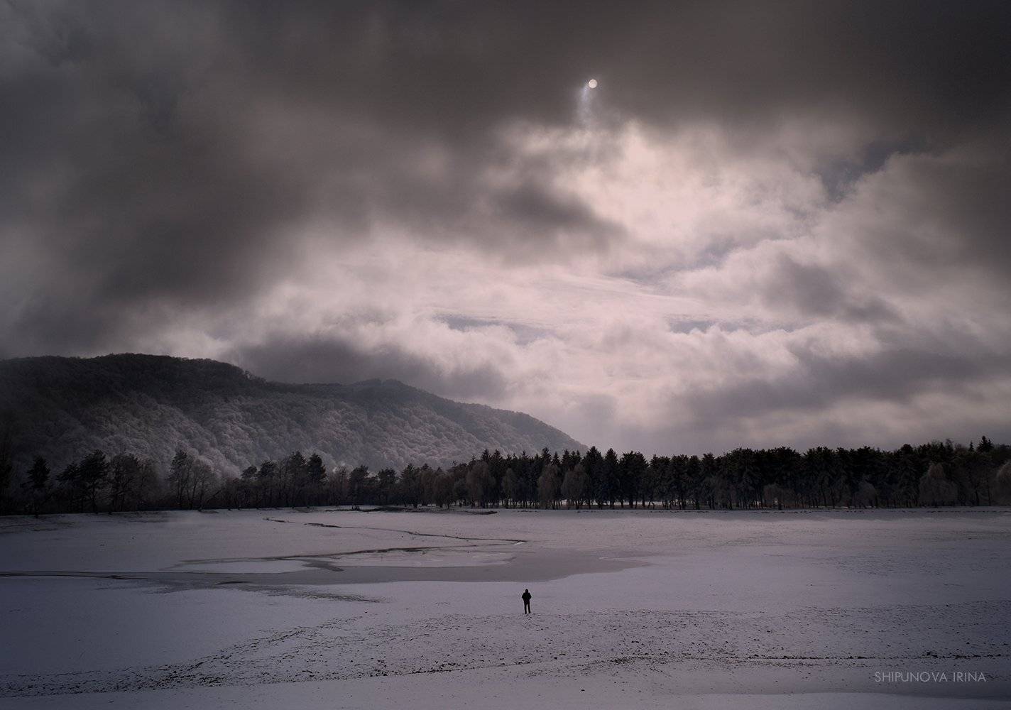 аллегория человек природа, Шипунова Ирина