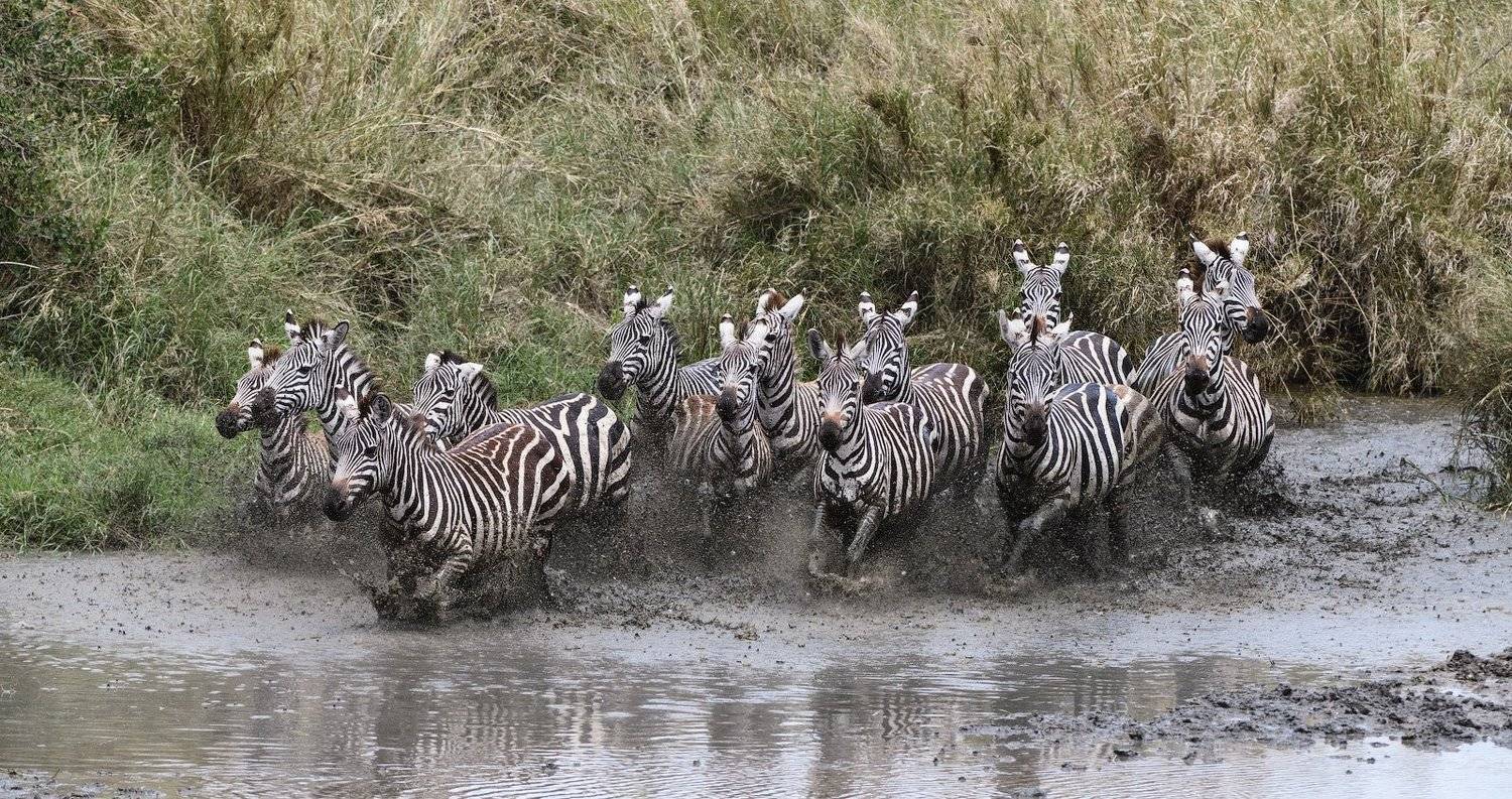 танзания, Андрей Ведерников
