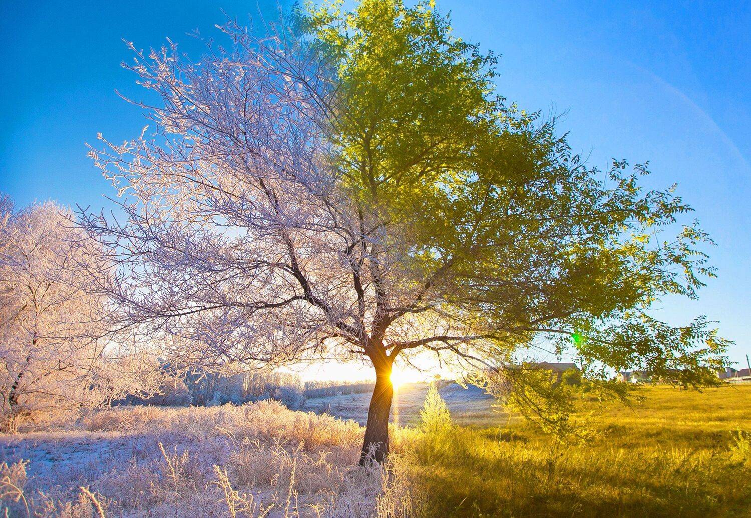 , Павел Сагайдак