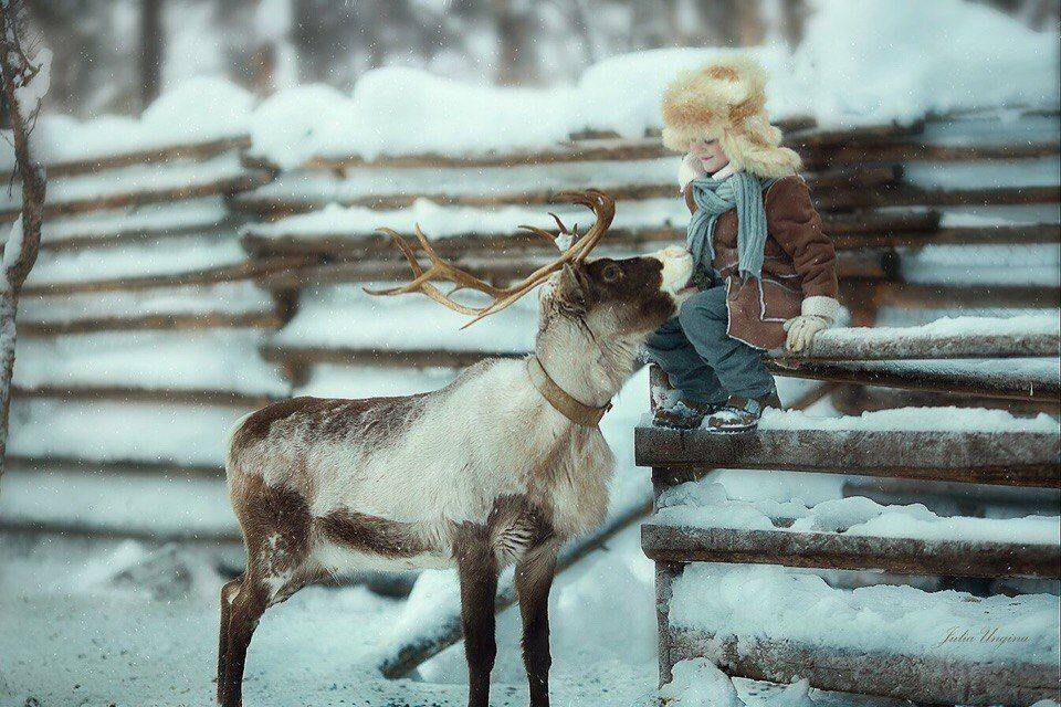 , Юлия Юнгина