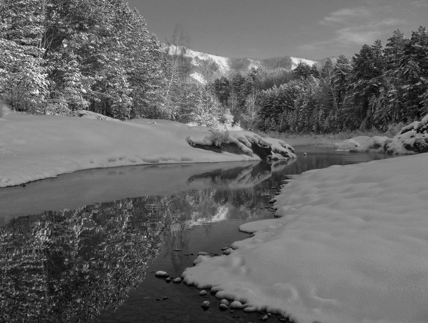 , Галина Хвостенко