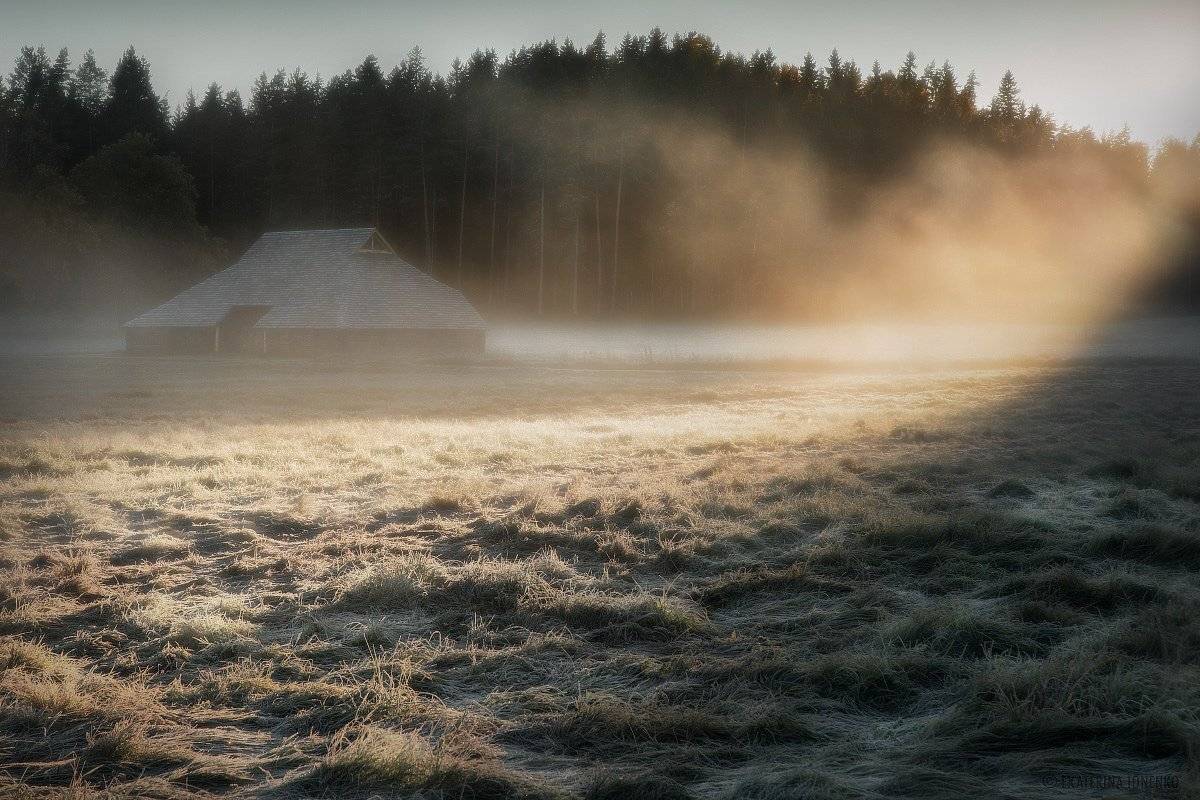 , Екатерина Ионенко